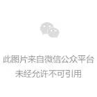 站(zhàn)長(cháng)之家(jiā), How-old.net, how-old.net網址, How-Old.net官網
